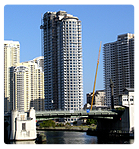 dsgn_557_image1.png